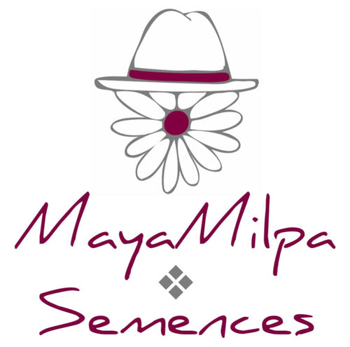 MayaMilpa